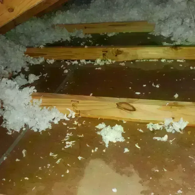 Attic Water Damage in Springfield, NY