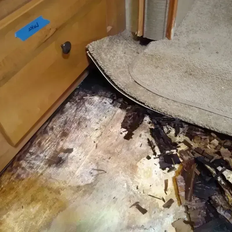 Wood Floor Water Damage in Springfield, NY